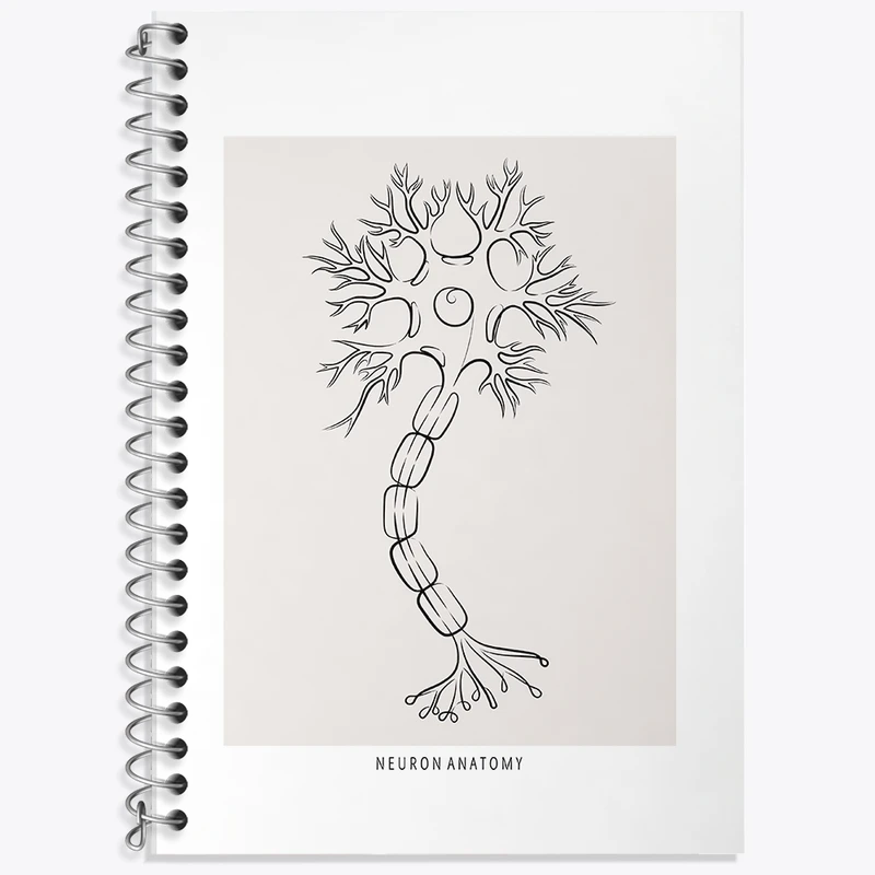 دفتر زبان 50 برگ خندالو مدل سه خط طرح آناتومی نورون (Neuron Anatomy) کد F13907