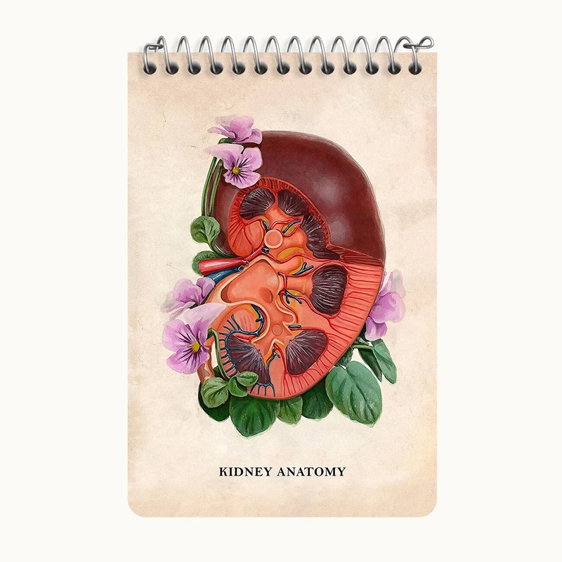دفتر یادداشت 50 برگ خندالو طرح آناتومی کلیه (kidney Anatomy) کد F14011