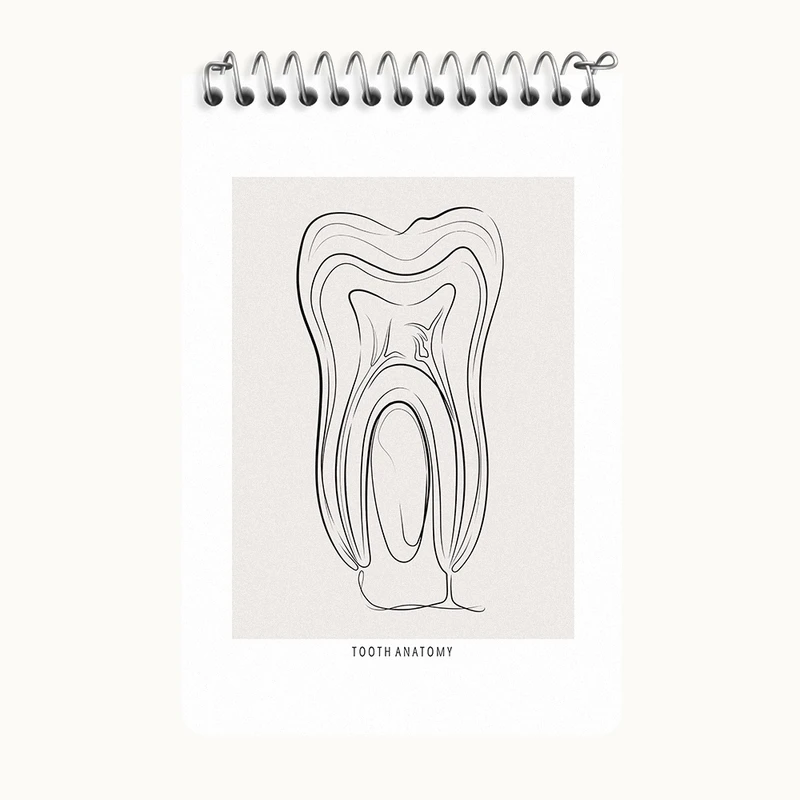 دفتر یادداشت 50 برگ خندالو طرح آناتومی دندان (Tooth Anatomy) کد F13937
