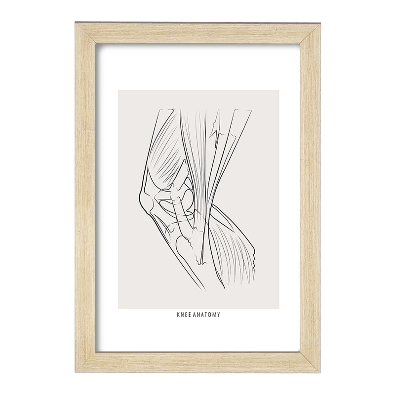 تابلو خندالو طرح آناتومی زانو (Knee Anatomy) کد F13925