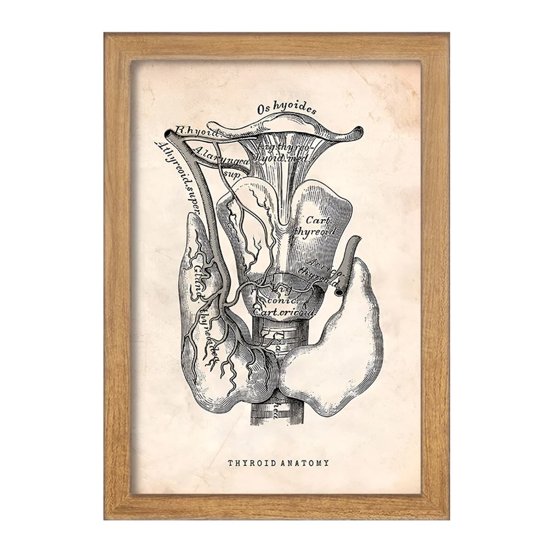 تابلو خندالو طرح آناتومی تیروئید (Thyroid Anatomy) کد F13953