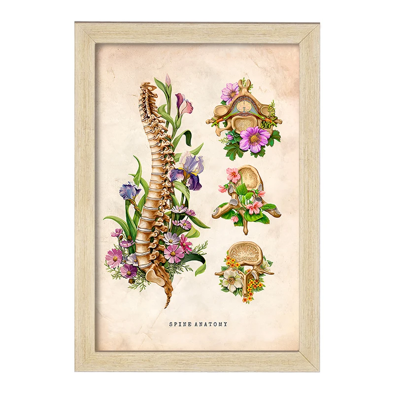 تابلو خندالو طرح آناتومی ستون فقرات (Spine Anatomy) کد F13967