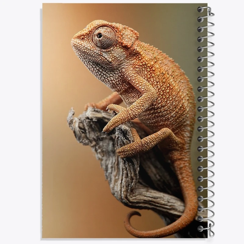 دفتر طراحی 50 برگ خندالو طرح آفتاب پرست کد F1223