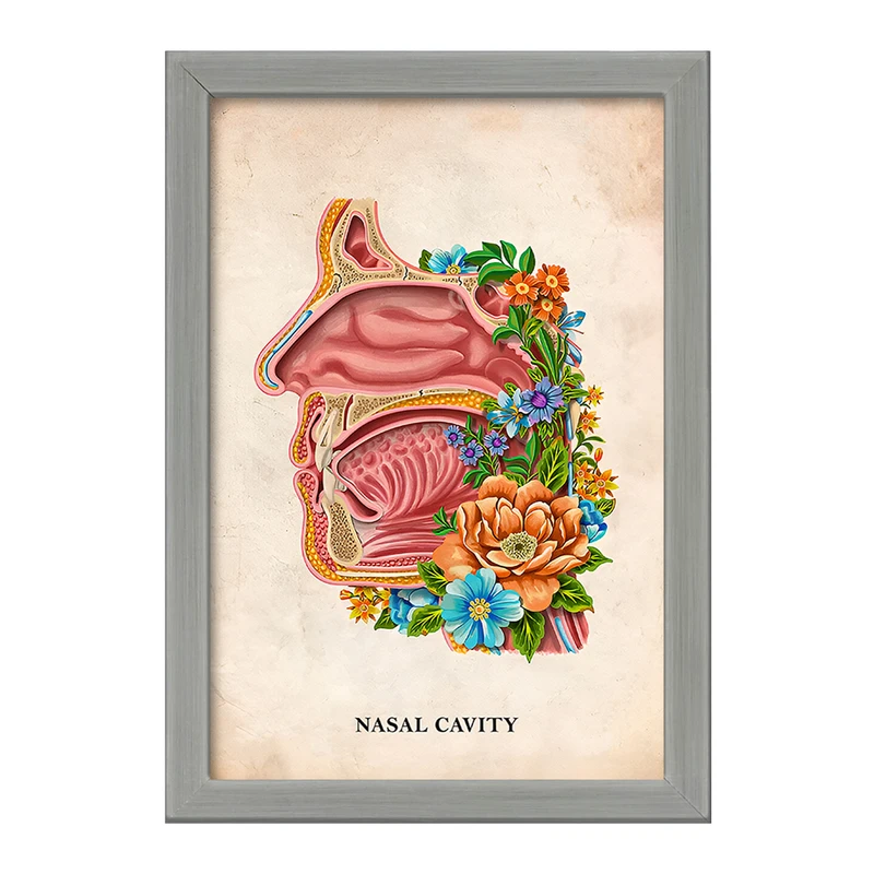 تابلو خندالو طرح حفره بینی (Nasal Cavity) کد F13992