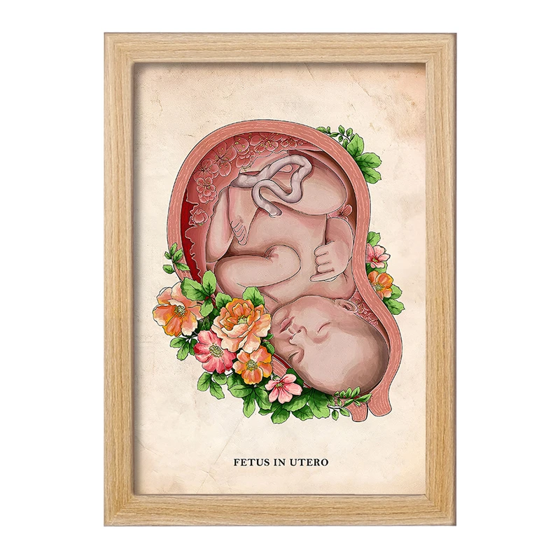 تابلو خندالو طرح جنین (Fetus In Utero) کد F13972
