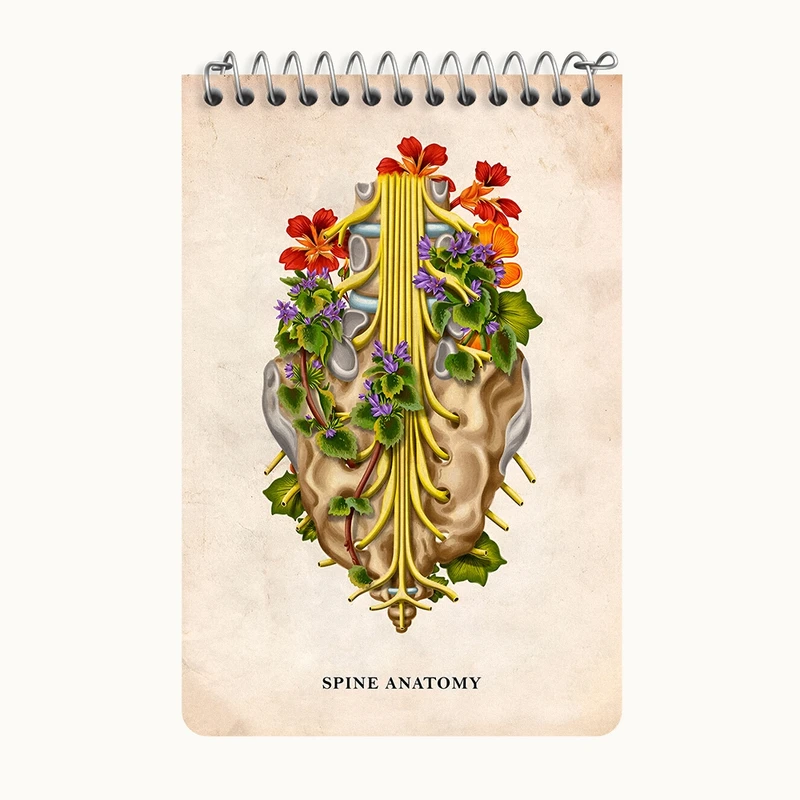 دفتر یادداشت 50 برگ خندالو طرح آناتومی ستون فقرات (Spine Anatomy) کد F13983