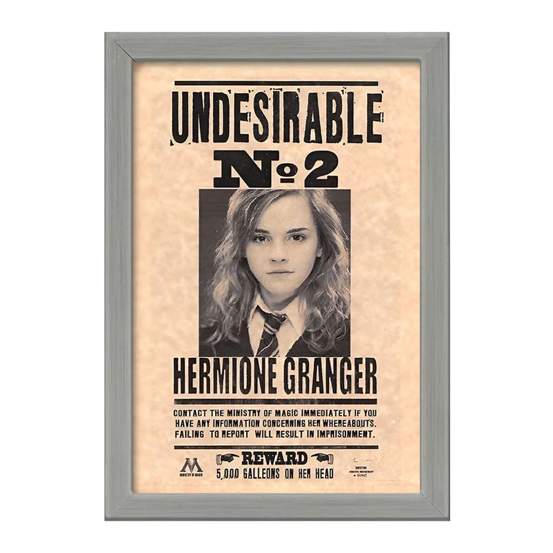 تابلو خندالو طرح هرماینی (Hermione) کد F8655