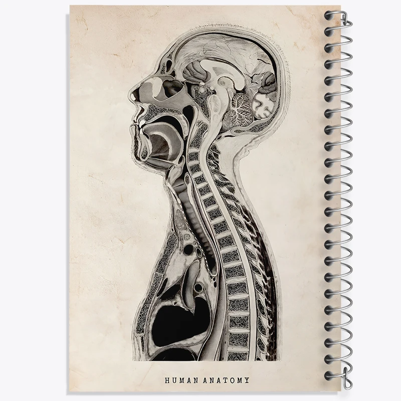 دفتر نقاشی 50 برگ خندالو طرح آناتومی انسان (Human Anatomy) کد F13948