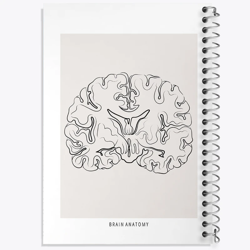 دفتر نقاشی 50 برگ خندالو طرح آناتومی مغز (Brain Anatomy) کد F13892