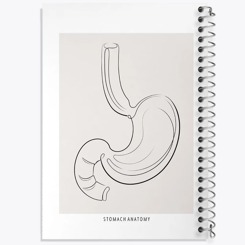 دفتر مشق 50 برگ خندالو طرح آناتومی معده (Stomach Anatomy) کد F13904