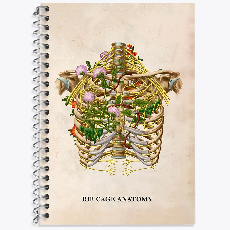 دفتر نت موسیقی 50 برگ خندالو طرح آناتومی قفسه سینه (Rib Cage Anatomy) کد F13995