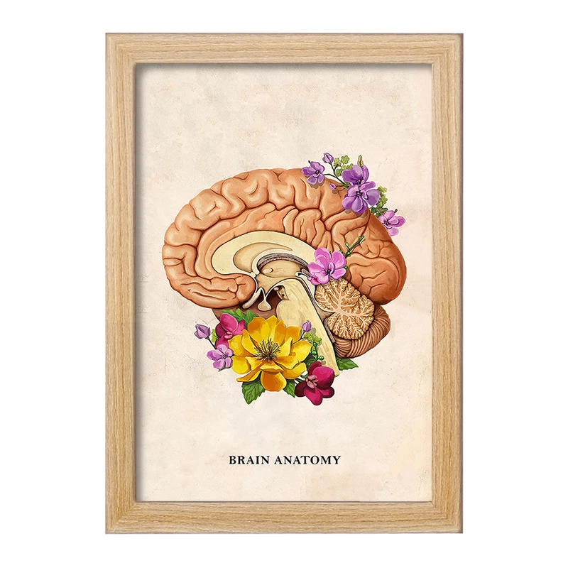 تابلو خندالو طرح آناتومی مغز (Brain Anatomy) کد F14028