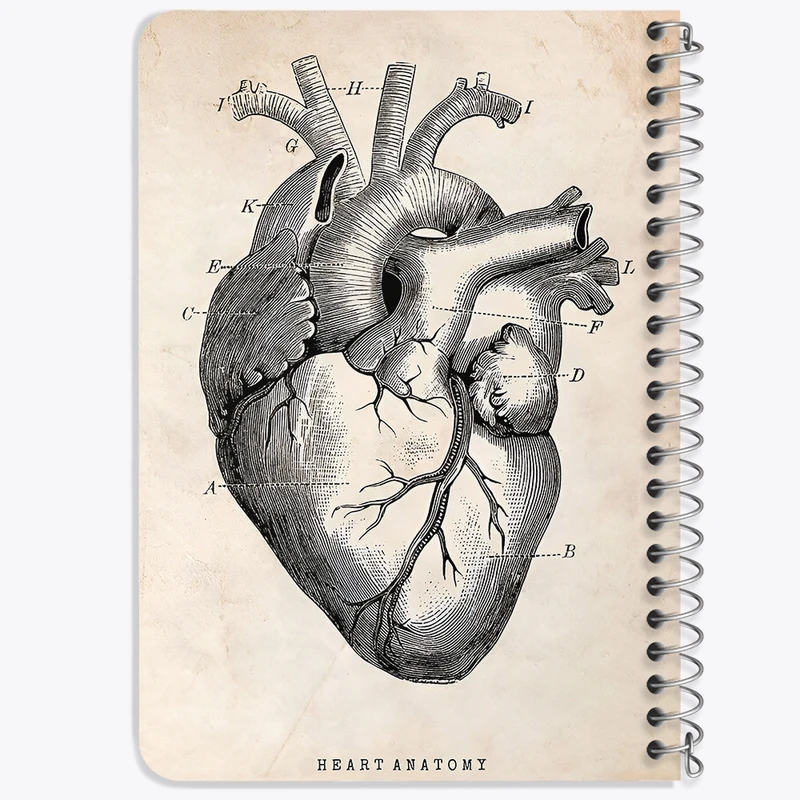 دفتر یادداشت 50 برگ خندالو طرح آناتومی قلب (Heart Anatomy) کد F13940