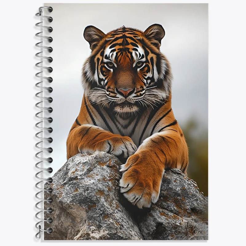 دفتر نت موسیقی 50 برگ خندالو طرح ببر کد F12575