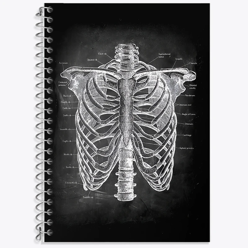 دفتر لغت 50 برگ خندالو طرح آناتومی قفسه سینه (Rib Cage Anatomy) کد F13958