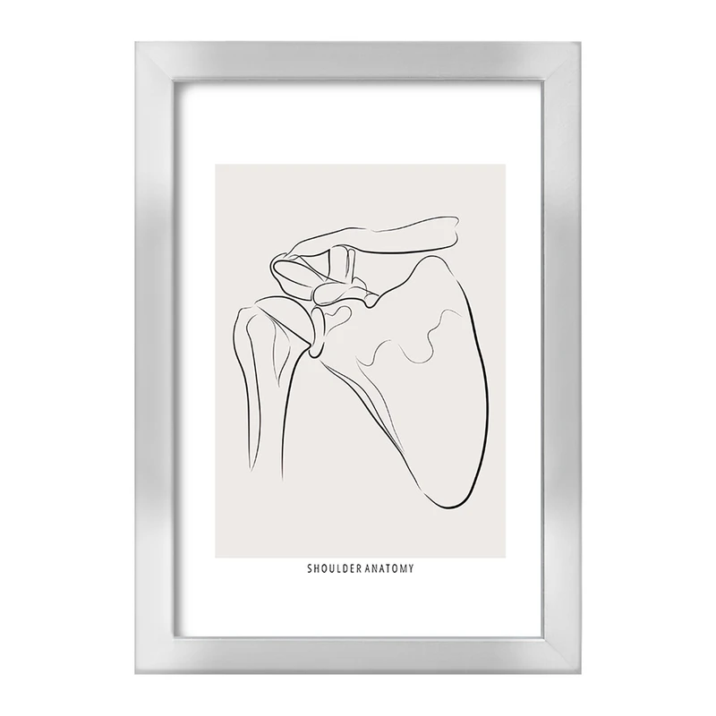 تابلو خندالو طرح آناتومی شانه (Shoulder Anatomy) کد F13915