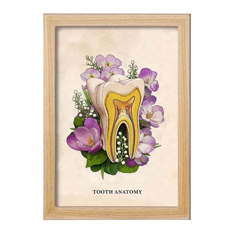 تابلو خندالو طرح آناتومی دندان (Tooth Anatomy) کد F14018