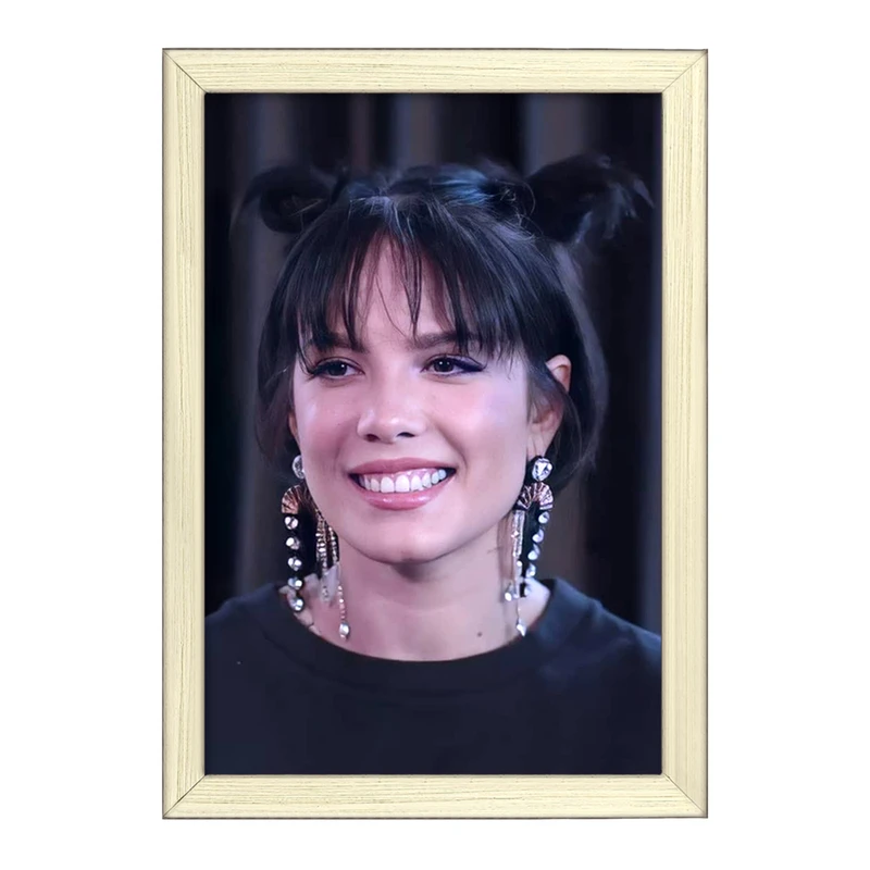 تابلو خندالو طرح هالزی Halsey  کد 19088