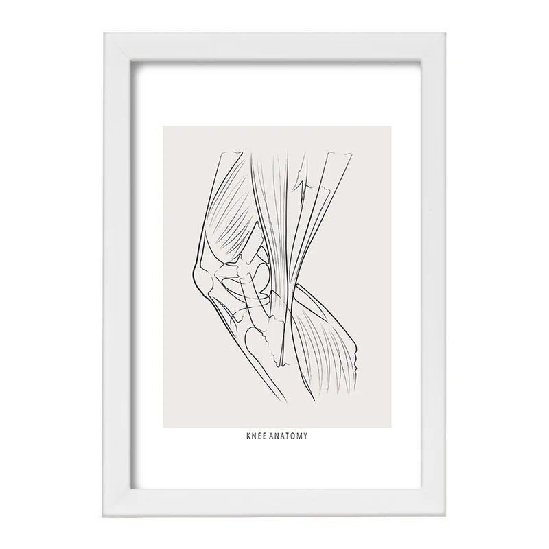 تابلو خندالو طرح آناتومی زانو (Knee Anatomy) کد F13925