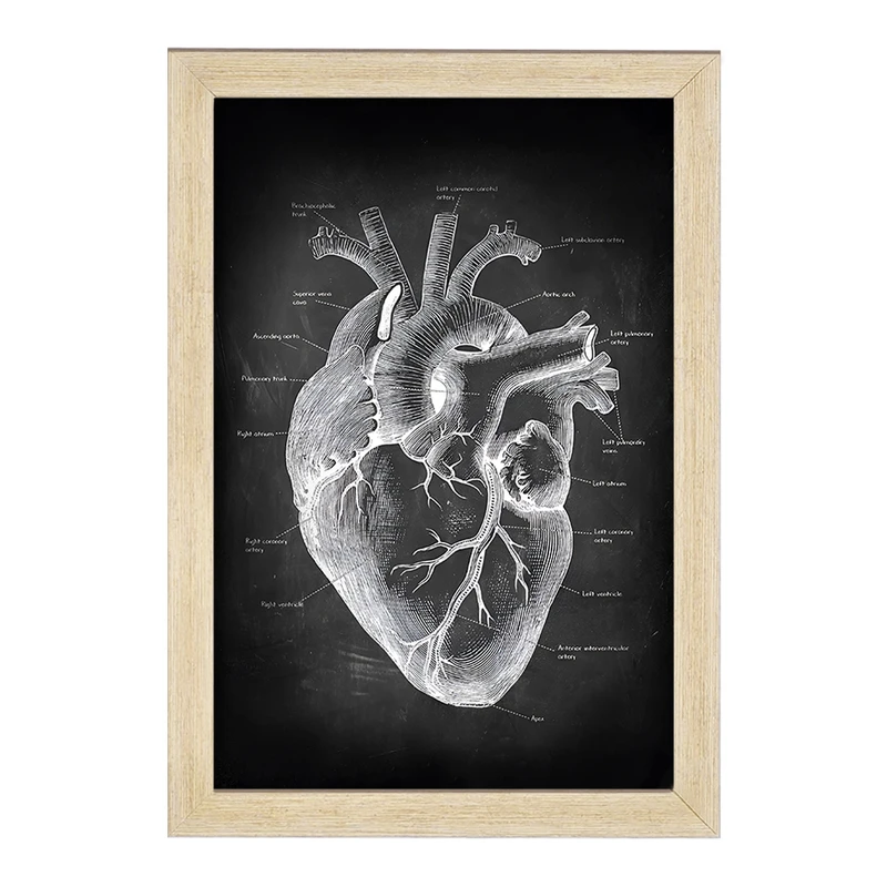 تابلو خندالو طرح آناتومی قلب (Heart Anatomy) کد F13957