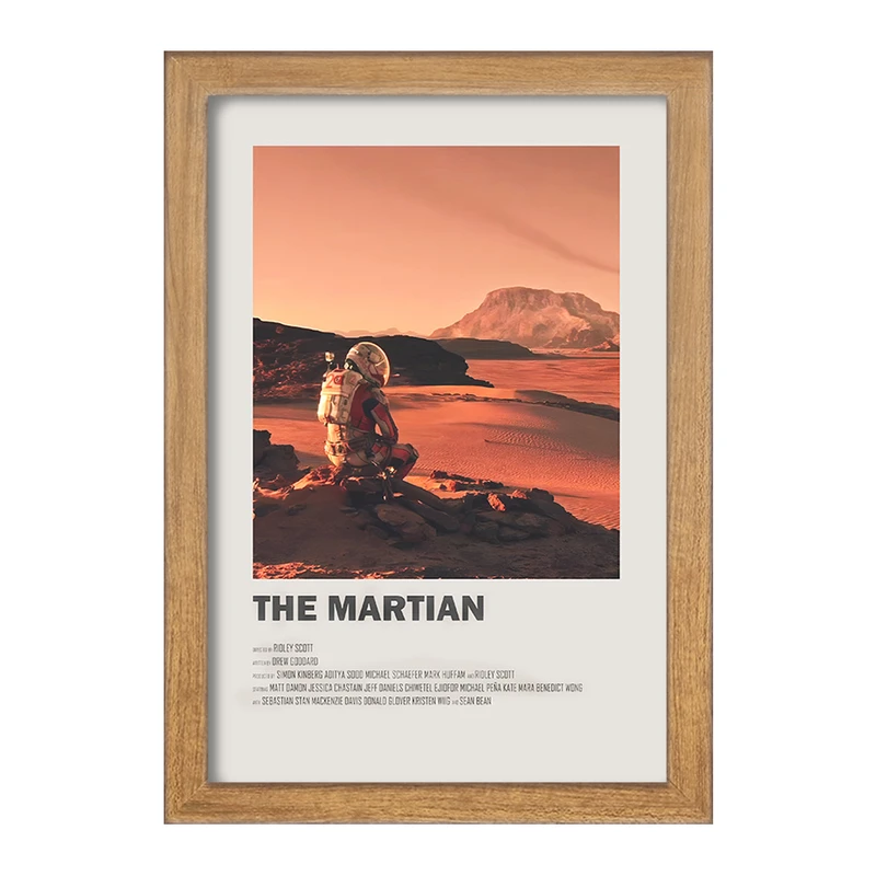 تابلو خندالو طرح مریخی (The Martian) کد F13279