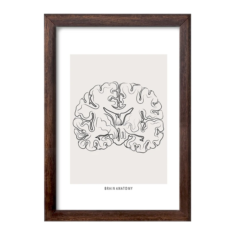 تابلو خندالو طرح آناتومی مغز (Brain Anatomy) کد F13892