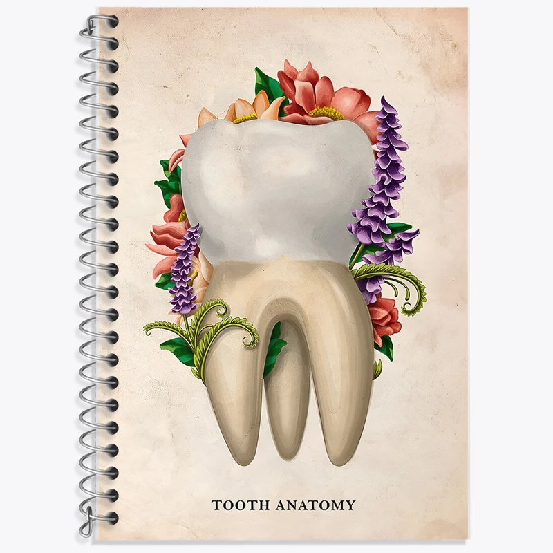 دفتر زبان 50 برگ خندالو مدل سه خط طرح آناتومی دندان (Tooth Anatomy) کد F13980