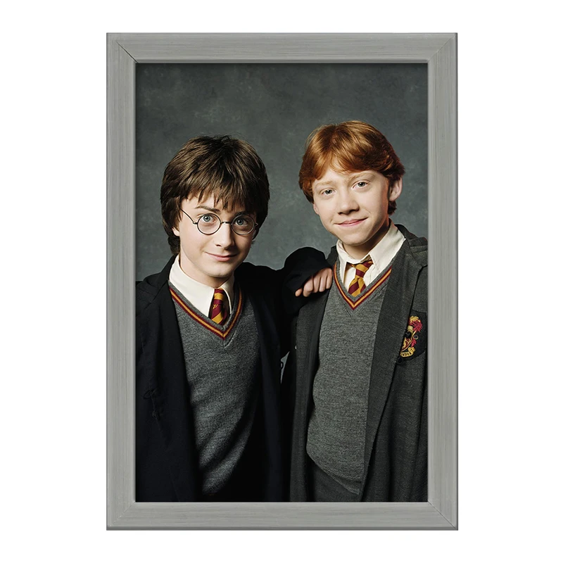 تابلو خندالو طرح هری پاتر Harry Potter  کد 2688