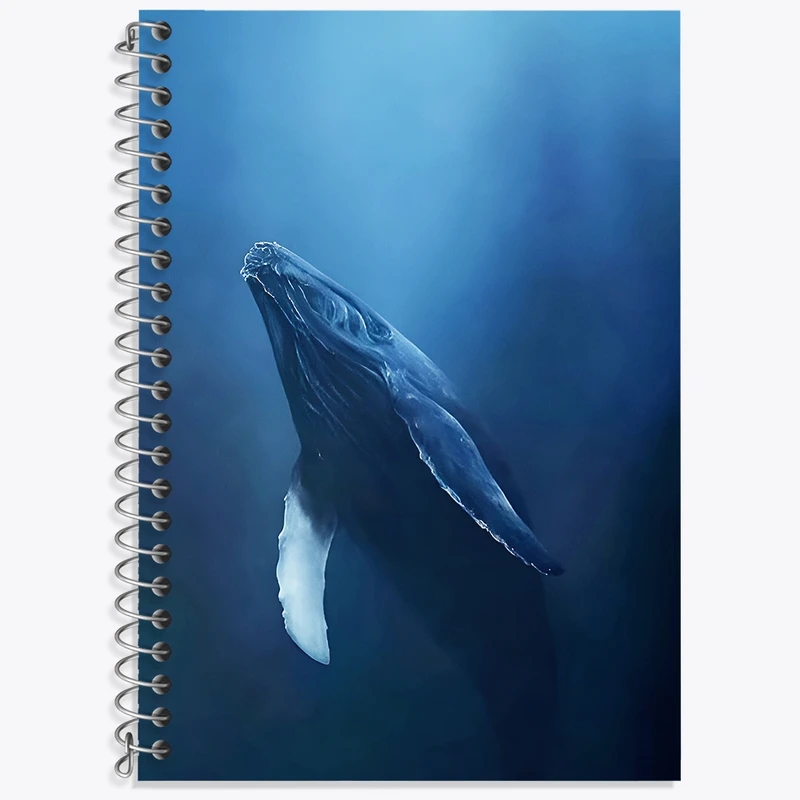 دفتر زبان 50 برگ خندالو مدل سه خط طرح وال کد F3688