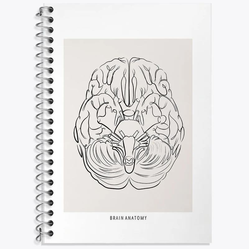 دفتر نت موسیقی 50 برگ خندالو طرح آناتومی مغز (Brain Anatomy) کد F13890