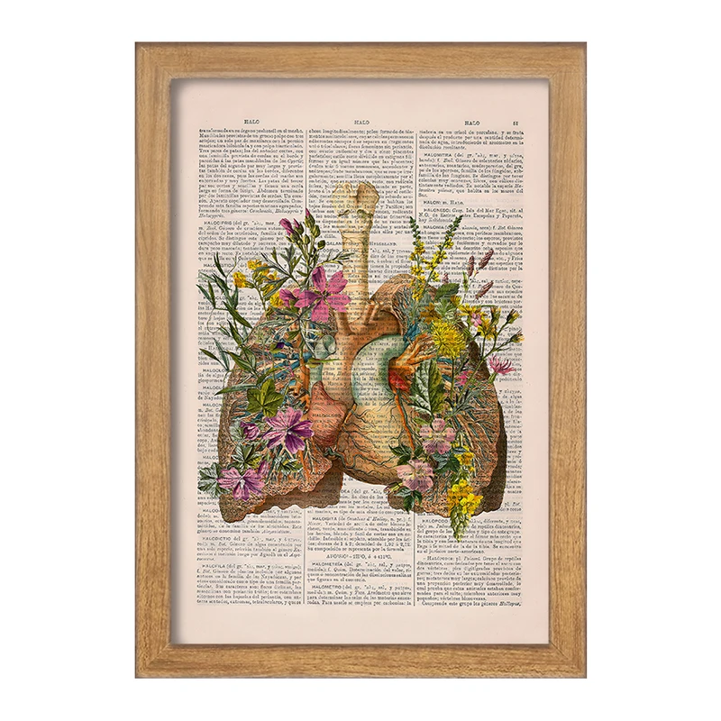 تابلو خندالو طرح آناتومی ریه ها (Lungs Anatomy) کد F14040