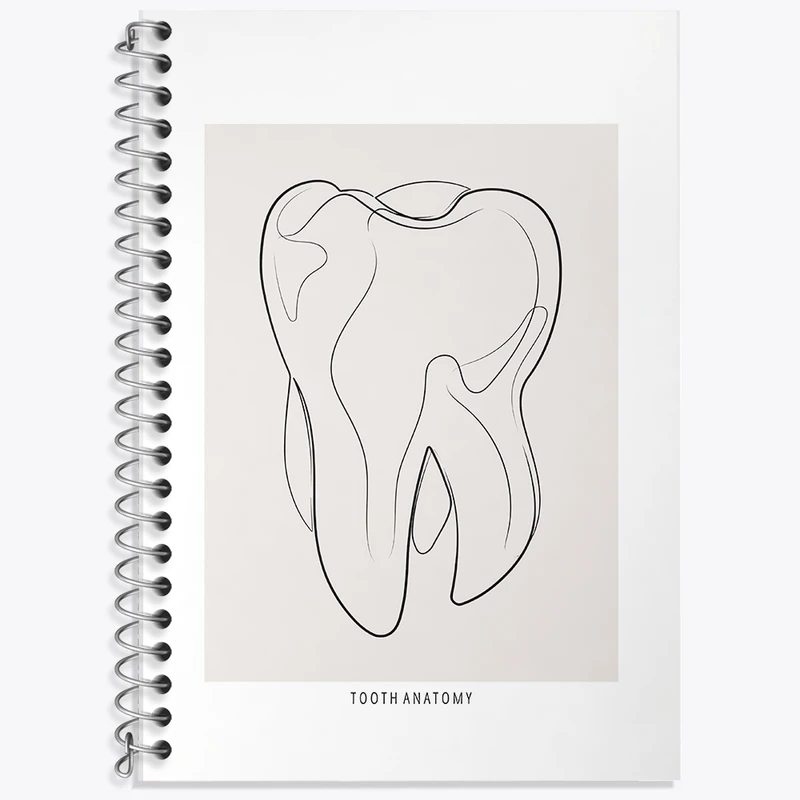 دفتر زبان 50 برگ خندالو مدل دو خط طرح آناتومی دندان (Tooth Anatomy) کد F13936