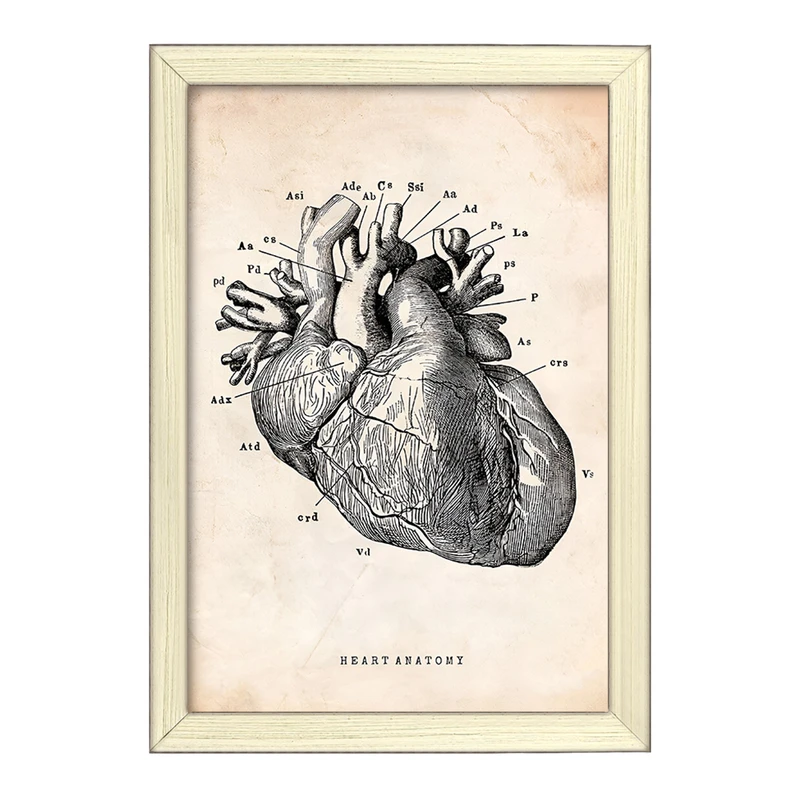 تابلو خندالو طرح آناتومی قلب (Heart Anatomy) کد F13942