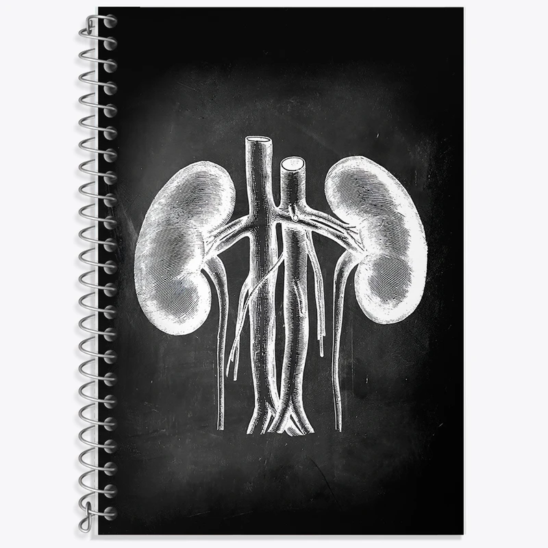 دفتر نت موسیقی 50 برگ خندالو طرح آناتومی کلیه (kidney Anatomy) کد F13959