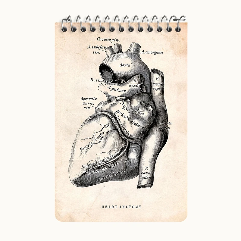 دفتر یادداشت 50 برگ خندالو طرح آناتومی قلب (Heart Anatomy) کد F13944