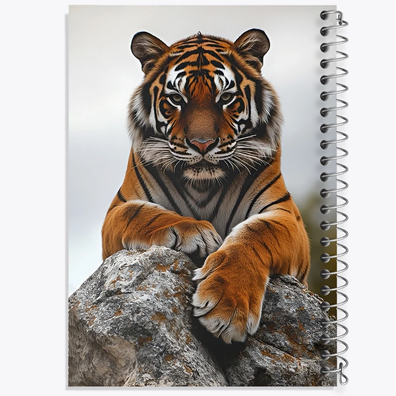 دفتر مشق 100 برگ خندالو طرح ببر کد F12575