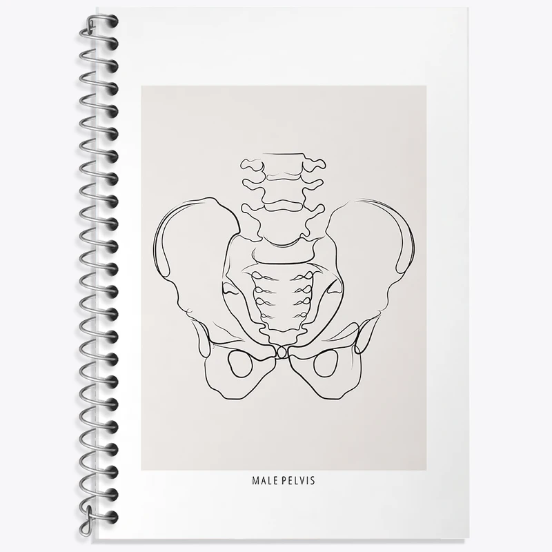 دفتر زبان 50 برگ خندالو مدل دو خط طرح آناتومی لگن (Pelvis Anatomy) کد F13912