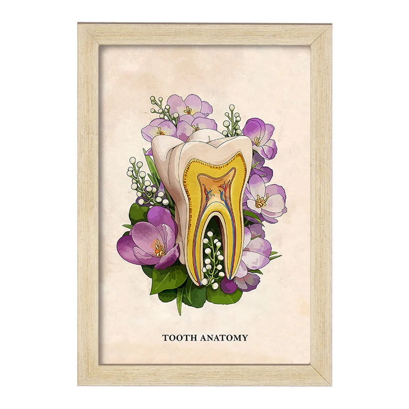 تابلو خندالو طرح آناتومی دندان (Tooth Anatomy) کد F14018
