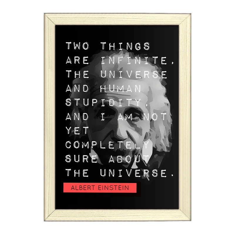 تابلو خندالو طرح آلبرت اینشتین (Albert Einstein) کد F14056