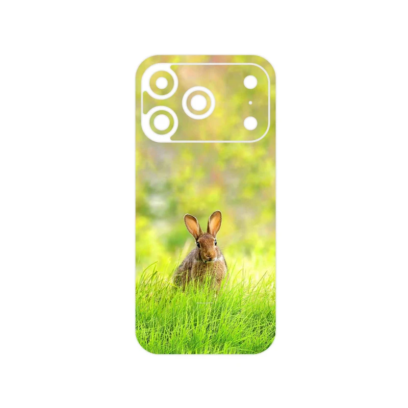 برچسب پوششی ماهوت مدل Rabbit مناسب برای گوشی موبایل اپل iPhone 17 Pro