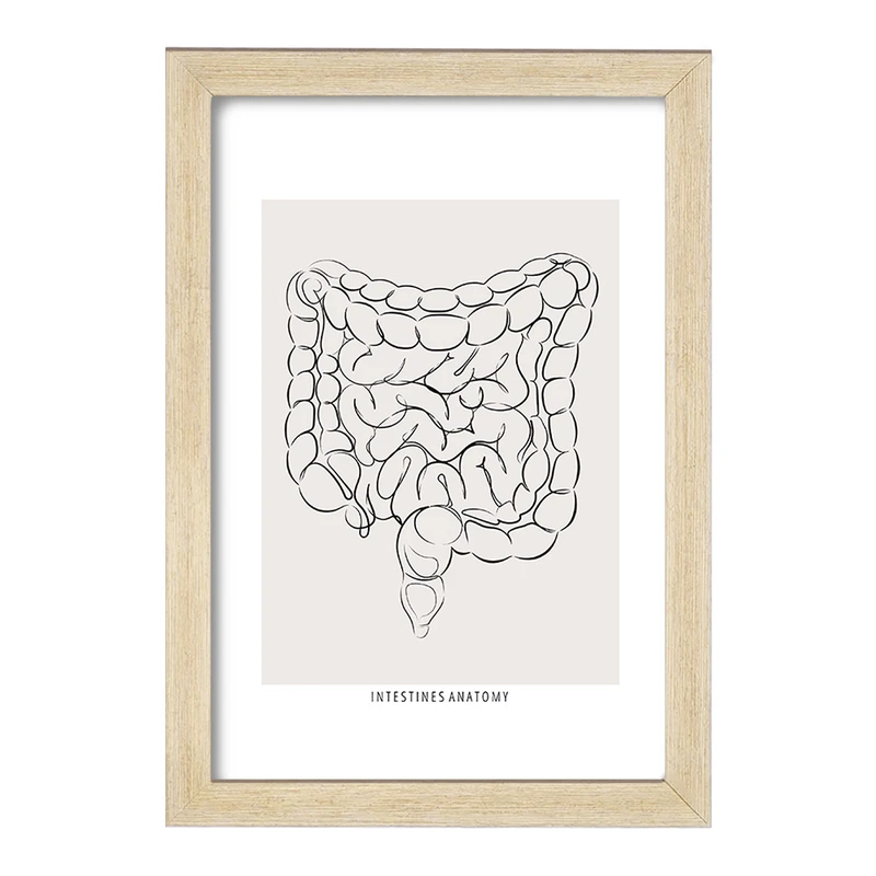 تابلو خندالو طرح آناتومی روده (Intestines Anatomy) کد F13933