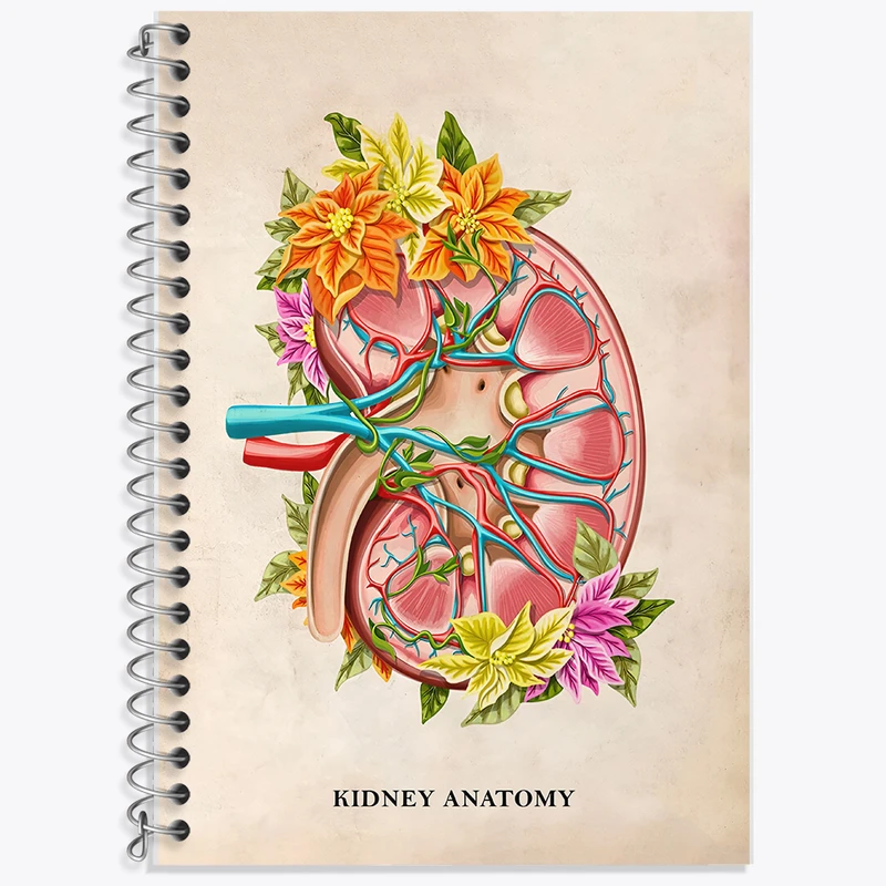 دفتر نت موسیقی 50 برگ خندالو طرح آناتومی کلیه (kidney Anatomy) کد F14005