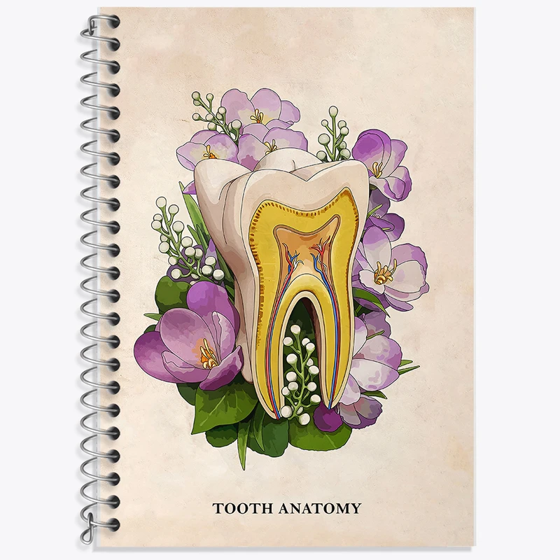 دفتر نت موسیقی 50 برگ خندالو طرح آناتومی دندان (Tooth Anatomy) کد F14018
