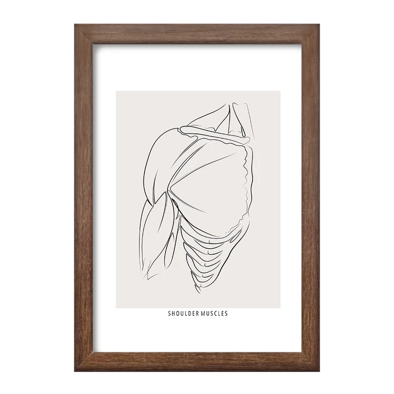 تابلو خندالو طرح عضلات شانه (Shoulder Muscles) کد F13927