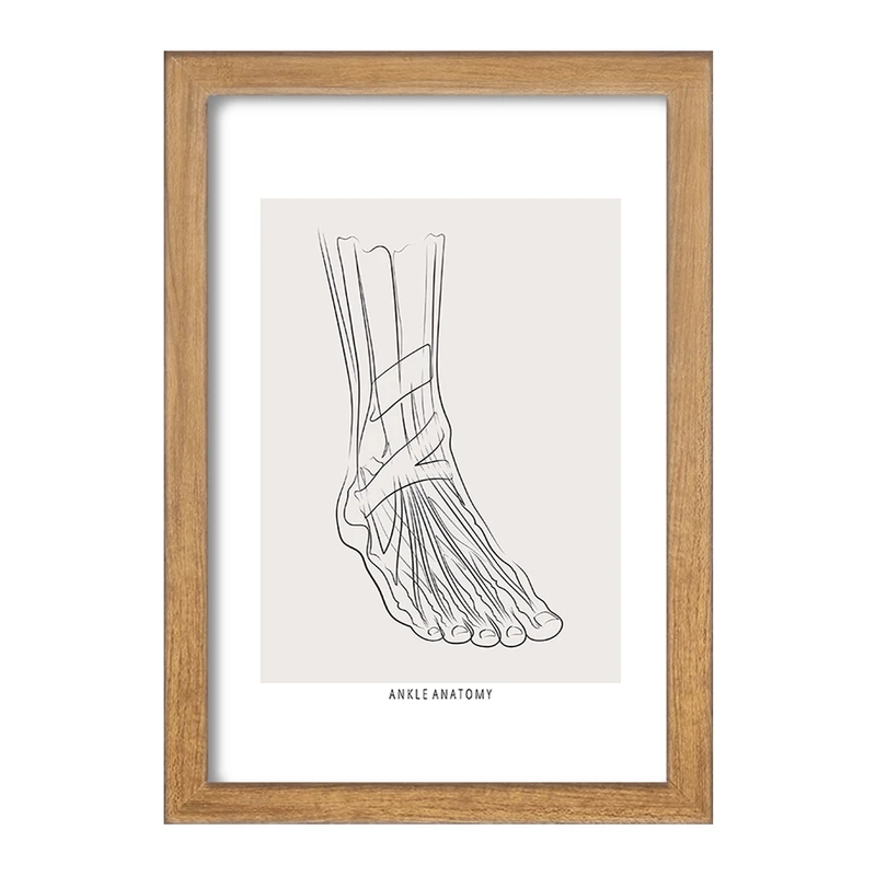 تابلو خندالو طرح آناتومی مچ پا (Ankle Anatomy) کد F13926