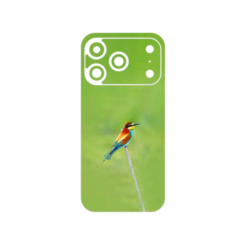 برچسب پوششی ماهوت مدل European bee-eater مناسب برای گوشی موبایل اپل iPhone 17 Pro