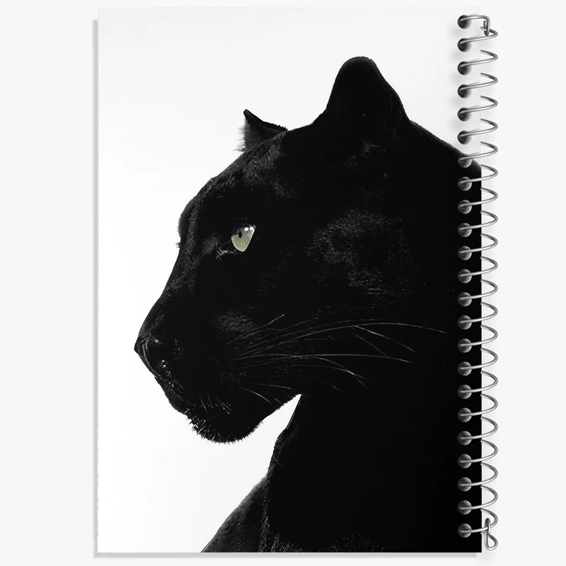 دفتر نقاشی 50 برگ خندالو طرح ببر سیاه کد F3876