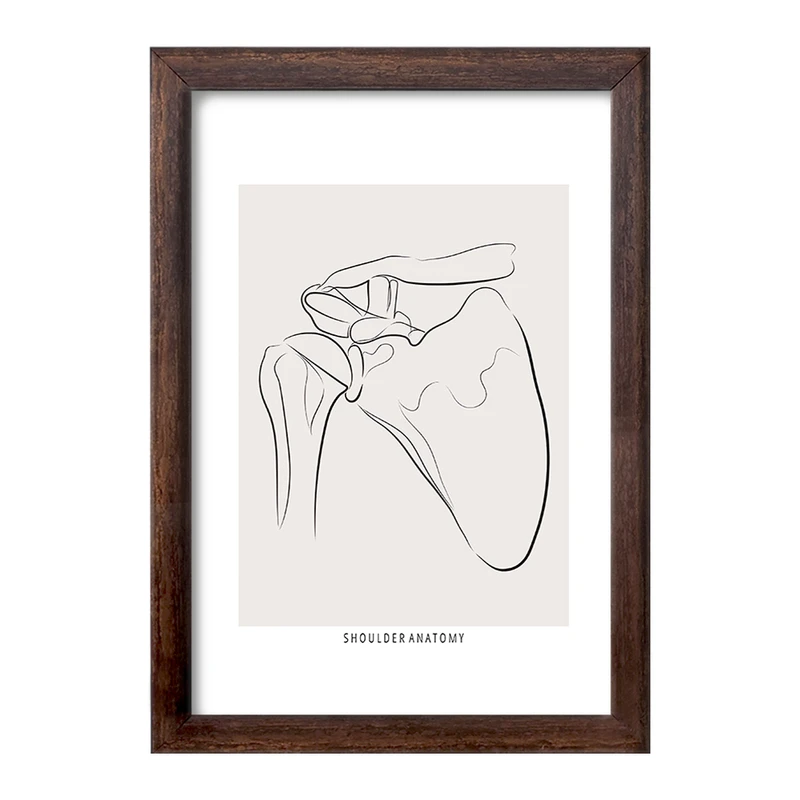 تابلو خندالو طرح آناتومی شانه (Shoulder Anatomy) کد F13915