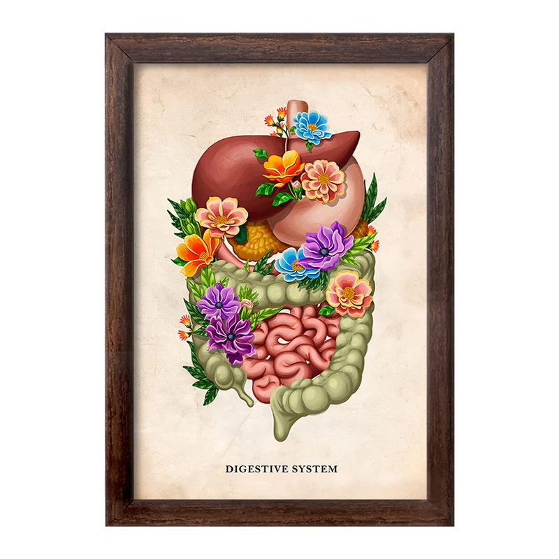 تابلو خندالو طرح سیستم گوارش (Digestive System) کد F13971