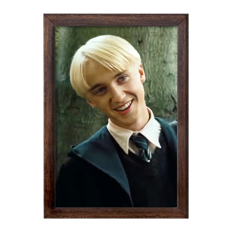 تابلو خندالو طرح دراکو مالفوی هری پاتر Harry Potter  کد 19361